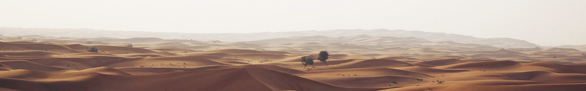 ɽƵ޹˾